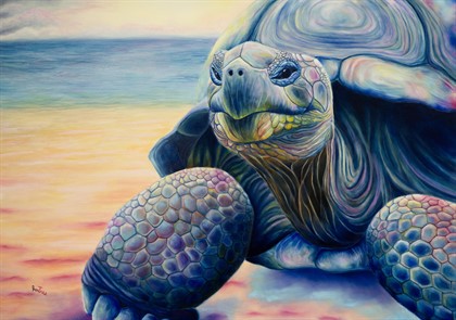 Tartaruga delle Galapagos